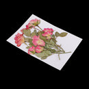 10 Branches Pressed Flowers Organic Dried Rose Flowers DIY Floral Art Decors