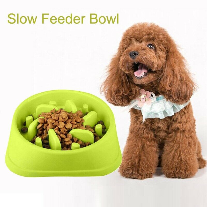 1 Pcs Popular Pet Dog Bowl Plastic Slow Feeder Bowl, Bloat Stop Dog Puzzle  U3Y4