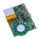 Programmable Sound Chip Voice Chip Music Board Module For Greeting Card DIY