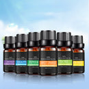 6 Pack Essential Oil Set 100% Pure Natural Aroma Therapeutic Grade Oils Lo NUT