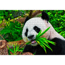 1000pcs DIY Eating Panda Puzzle Educational Learning Assembling Jigsaw Toys A