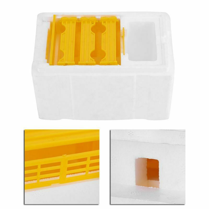 Bee Hive Beekeeping King Box Pollination Box Foam Frames Beekeeping Tool Ki