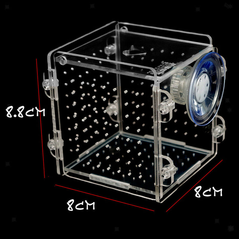 Acrylic Self-floating Fish Fry Breeding Box Hatchery Isolation Incubator Divider