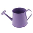 2pcs Pastoral Style Watering Can Flower Barrel Gardening Irrigation Tool