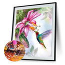 5D Bird DIY Full Round Diamond Painting Home Decor Art Cross Stitch (B1065)