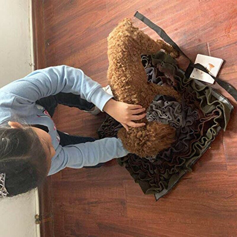 Pet Dog Snuffle Mat Feeding Mat Washable Pad Smell Training Blanket Nose Wo