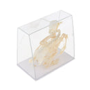 Real Pigeon Skeleton Specimens Biology Teaching Instruments Student Science