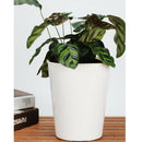 7'' H Self Watering Planter Modern Decorative Flowers Pots For
