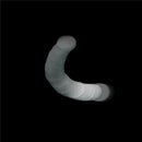100Pcs 16mm Blank Round Microscope Cover Glass Cover Slips for Lab MedicalxpJï¼D