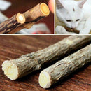 10x Cat Snacks Natural Matatabi Chew Catnip Stick Teeth Cleaning Molar Brus Q1Q9