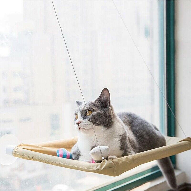 Cat Hammock, Cat Window Perch Sunny Seat with Suction Cups Cat Bed Saving S