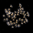50 Pieces Silicone Earring Back Stoppers Findings Ear Nut Backings Ear Post