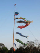 150cm Koinobori Japanese Carp Wind Sock Koi Nobori Fish Flag Windsock Green