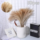 50Pcs Dried Flower Natural Phragmites Pampas Grass Wedding Bunch Bouquet Kit
