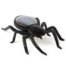Solar Vibrates Forward Plastic Simulation Insect Kids Toys (Solar Spider)