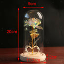 Enchanted Eternal Rose LED Light Beauty Flower Anniversary Mothers Day Gift