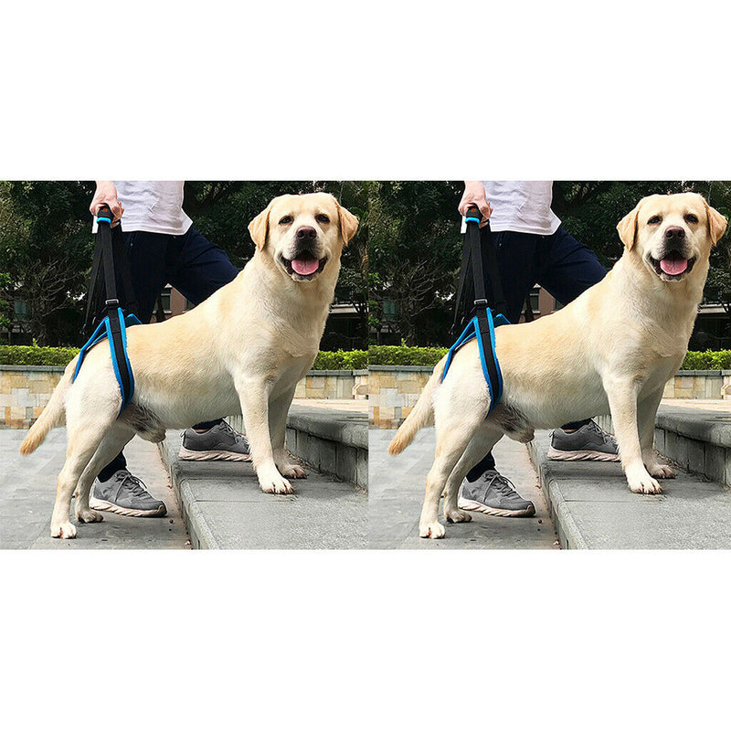 2pcs Dog Hind Leg Auxiliary Belt Lift Harness Mobility Aid Support Harness