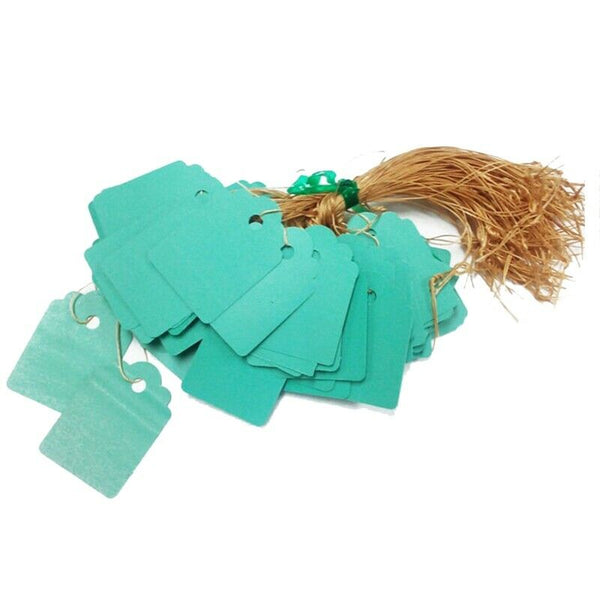 4.5 x 3cm 100pcs Strip Line Garden Labels Plant Hanging Tags Mini Seed Sign