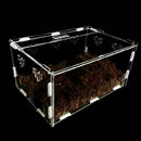 Acrylic-Reptile-Terrarium-Habitat-Ideal-Case-for-Larvae-spiders-ants-scorpi U5V9