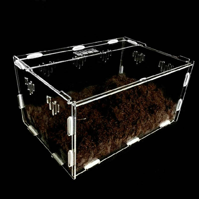 Acrylic-Reptile-Terrarium-Habitat-Ideal-Case-for-Larvae-spiders-ants-scorpi U5V9