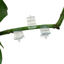 40Pcs Garden Flower Plant Vine Seedling Grafting Branch Clip Connector Fast