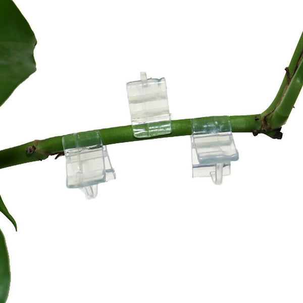 40Pcs Garden Flower Plant Vine Seedling Grafting Branch Clip Connector Fast