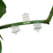 40Pcs Garden Flower Plant Vine Seedling Grafting Branch Clip Connector Fast