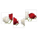 Red and White Rose Flowers Print on Canvas Modern Artwork for Wall Decor