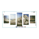 Lion 5D DIY Full Drill Diamond Painting 5-pictures Combination Crafts Kits