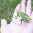 2 x Vivid Ladybug & Katydid Insect Imitation Animal Fridge Magnet Toys Outdoor