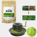 100G Matcha Green Tea Pure Organic Certified Natural Premium Loose  -Q