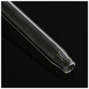 Clear Glass Plant Flower Holiday Watering Spike Stake Bird Shaped Water Fee