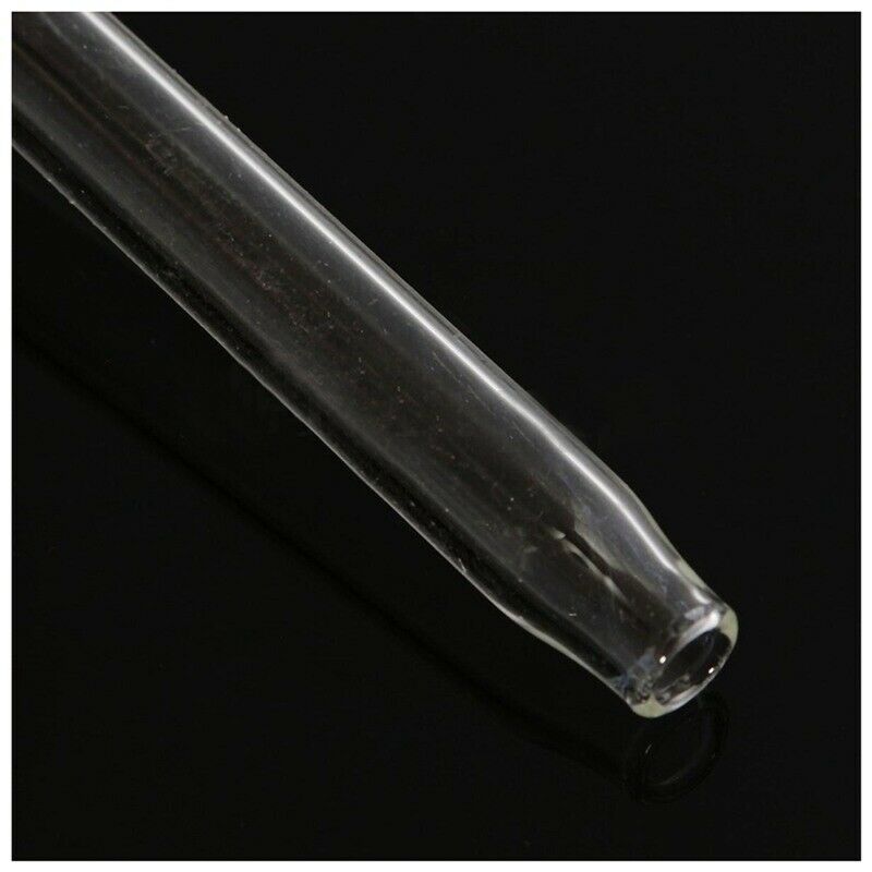 Clear Glass Plant Flower Holiday Watering Spike Stake Bird Shaped Water Fee