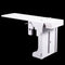Home Garden Pest Controller Rat Trap Quick Kill Seesaw Mouse Catcher Bait