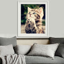 Naughty Kitten Cat 5D Diamond DIY Painting Craft Home Decor