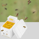 Auto Honey Beehive Frames Beekeeping Kit Bee Hive King Box Pollination BoxJC_