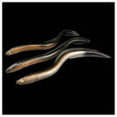 30CM PVC Soft Sand EeL Saltwater Fishing Lures Bait Cod Bass Pollock Sand B D7U9