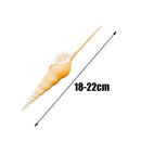 Conch Shell Natural Sea Snail Home Ornaments Fish Tank Decor Funny
