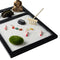 Cute Mini  Garden Meditaton Relaxation For Home Office Living Room Decor