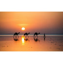 Diamond Painting Cross Stitch Sunset Full Round Drill Embroidery (LD299)