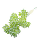 Simulation Succulents Plants DIY Edelweiss For Home Office Decor Green