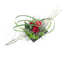 Plastic Ikebana Suiban Vase Tray Pot Bonsai Flower Container ~Square_S