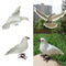 2 Pieces Realistic Standing Flying Doves with White Feathers Birds Animal