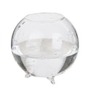 6pcs Glass Ball Shaped Flower Plant Tabletop Vases   Bowl Container Decor