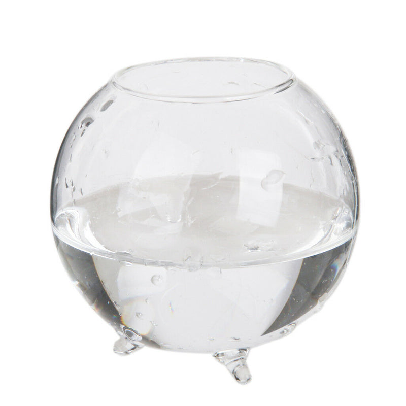 6pcs Glass Ball Shaped Flower Plant Tabletop Vases   Bowl Container Decor