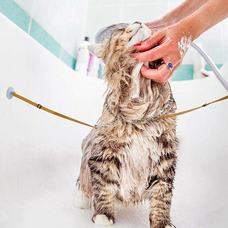 Pet Bathing Tether Straps, Pet Leash Dog Bath Beauty Fixed Rope Bathtub Suc