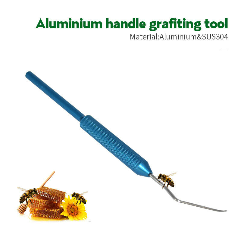 1pc Stainless Steel Larvae Moving Grafting Needle Beekeeping ToolsTEUSJ Gw