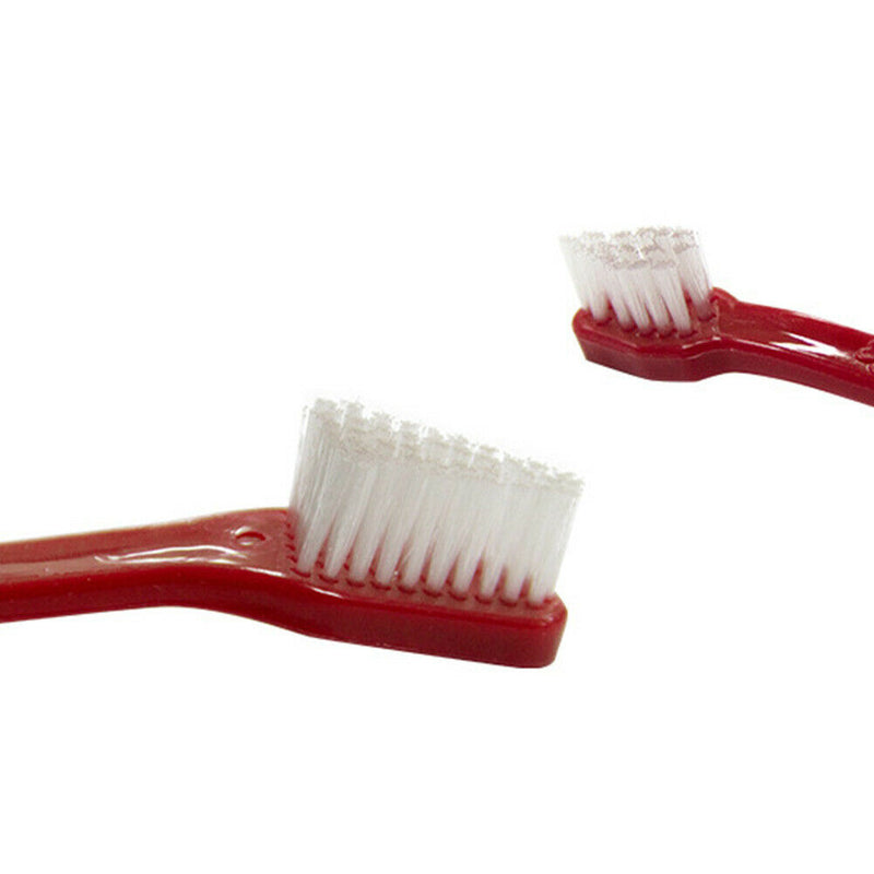 2PCS Cat Dental Care Double-end Oral Hygiene Kit Toothbrush Pet Dog Manual