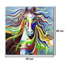 40*40cm Unframed Modern Canvas Print Art Oil Painting Wall Picture Home saq TCL