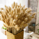 60Pcs Natural Rabbit Dog Tail Grass Bouquets Dried Flowers Wedding Decor Set #